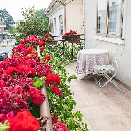 B&B Pereuka Rovigo Exteriör bild